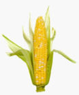 Corn harvester,4YZ-3E corn combine harvester 115HP,Corn harvester threshing machines.